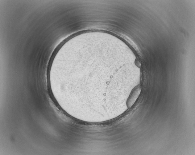 X0000114660980200911171107