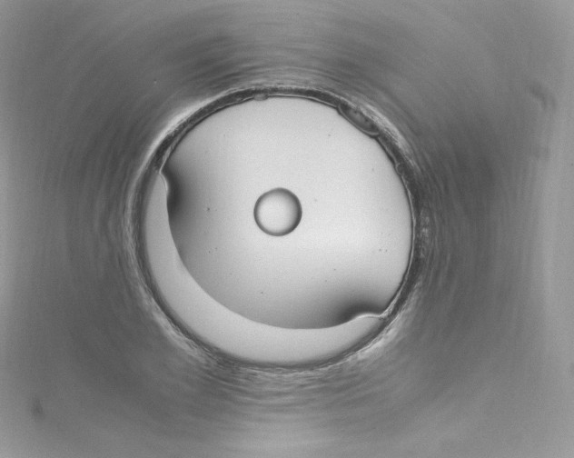 X0000114660981200911171107