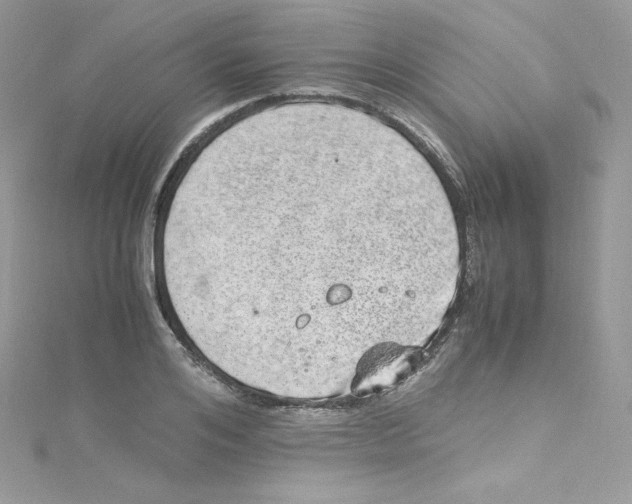 X0000114660984200911171107