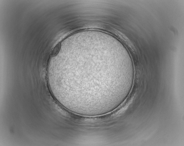 X0000114660985200911171107