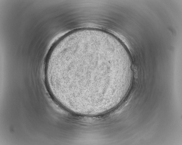 X0000114660987200911171107