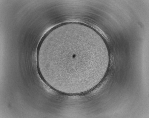 X0000114660988200911171107