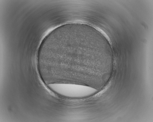 X0000114660989200911171107