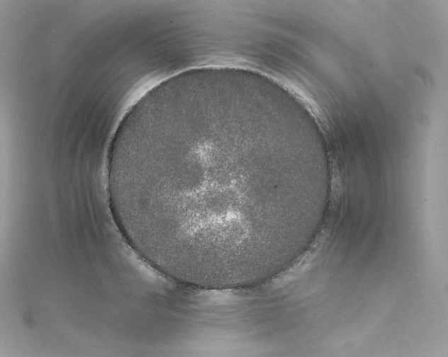 X0000114660990200911171107