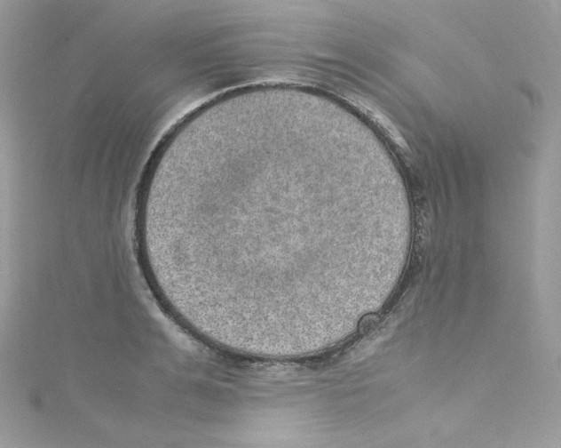 X0000114660991200911171107