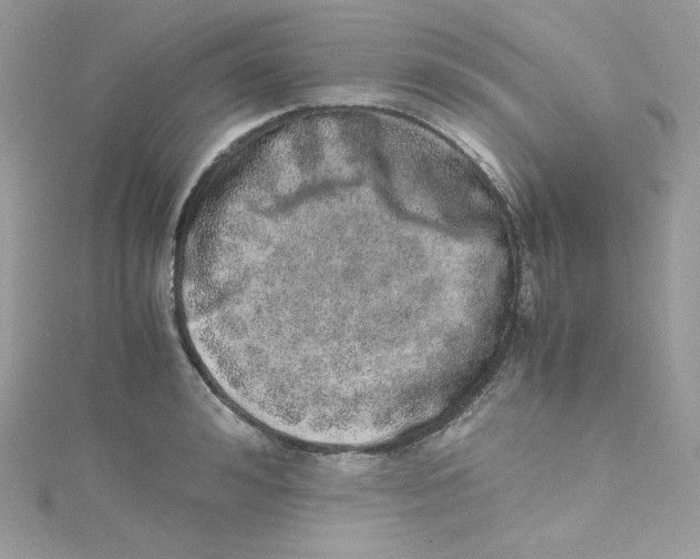 X0000114660992200911171107