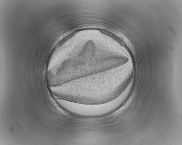 X0000114660993200911171107