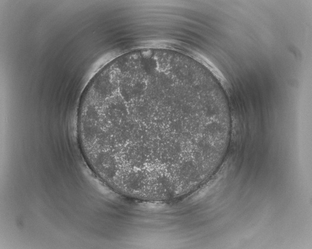 X0000114660994200911171107