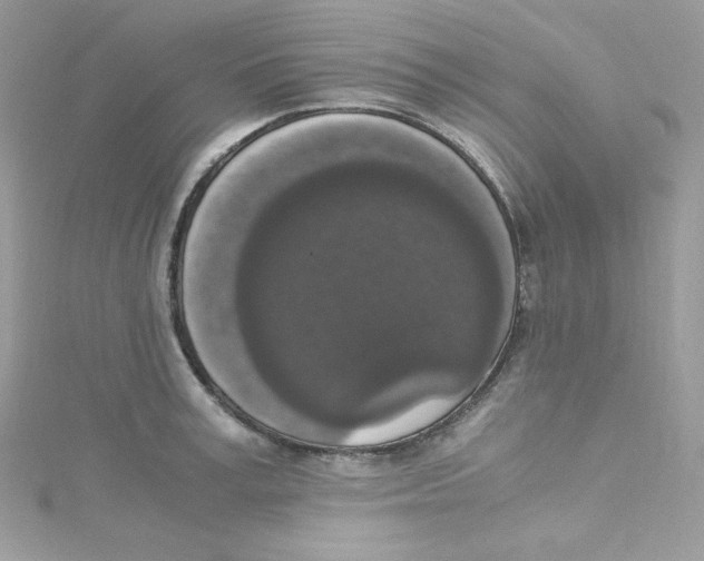 X0000114660995200911171107