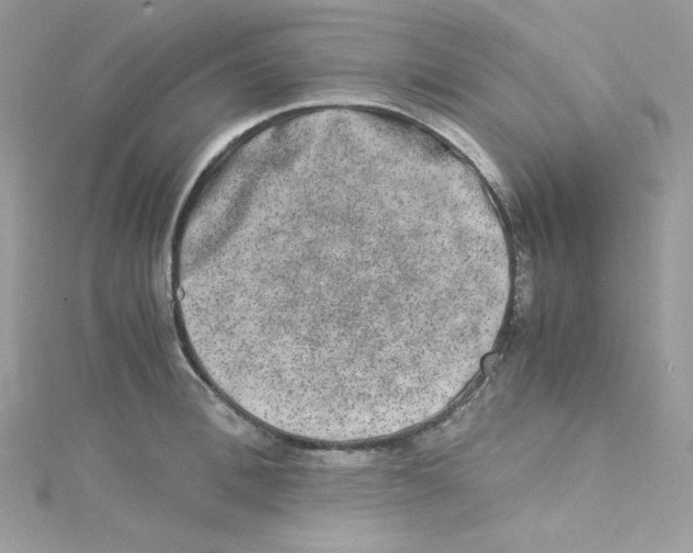 X0000114660996200911171107