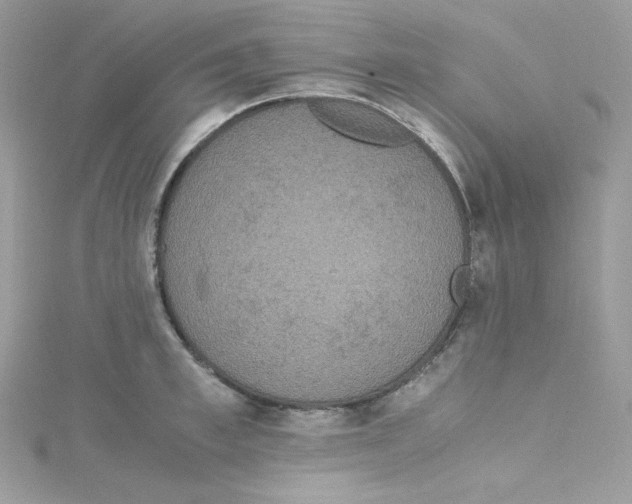 X0000114660997200911171107