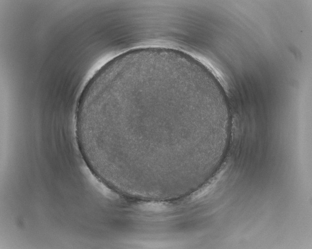 X0000114660998200911171107