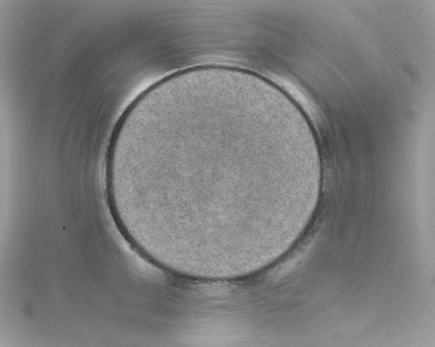 X0000114660999200911171107