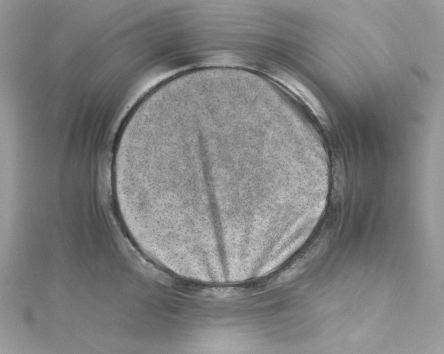 X0000114661000200911171107