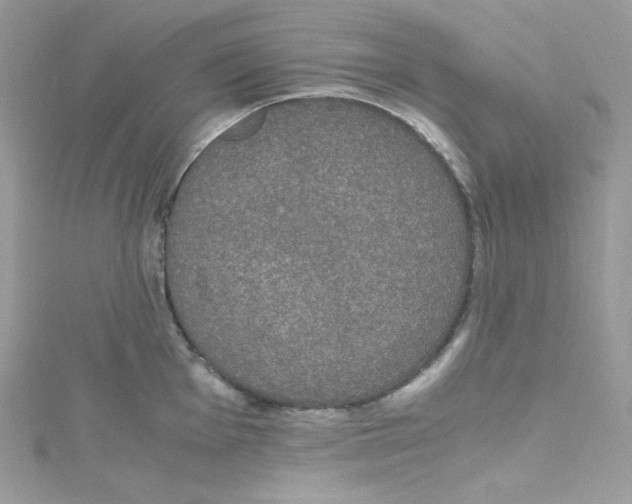 X0000114661001200911171107