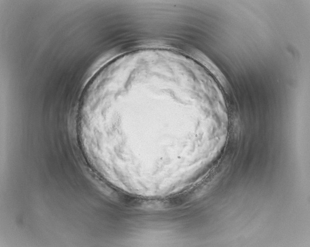 X0000114661002200911171107