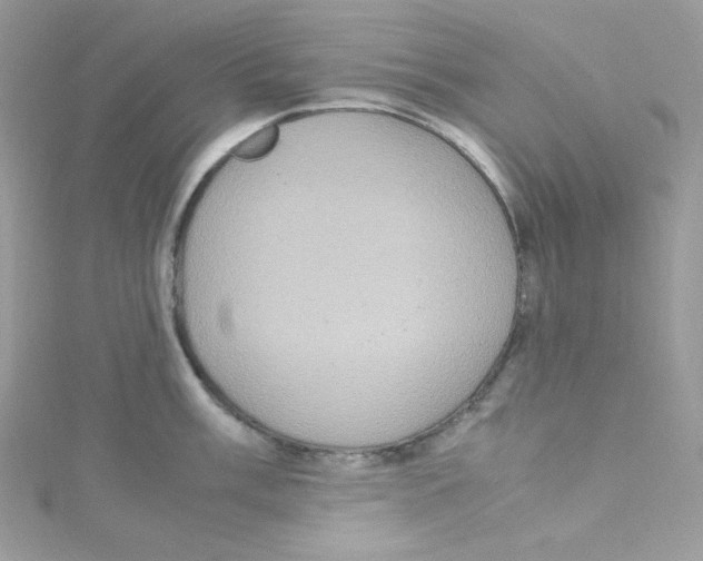 X0000114661003200911171107