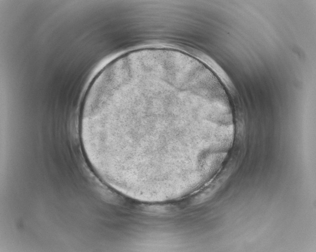 X0000114661004200911171107