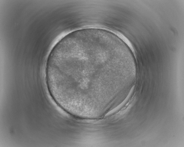 X0000114661005200911171107