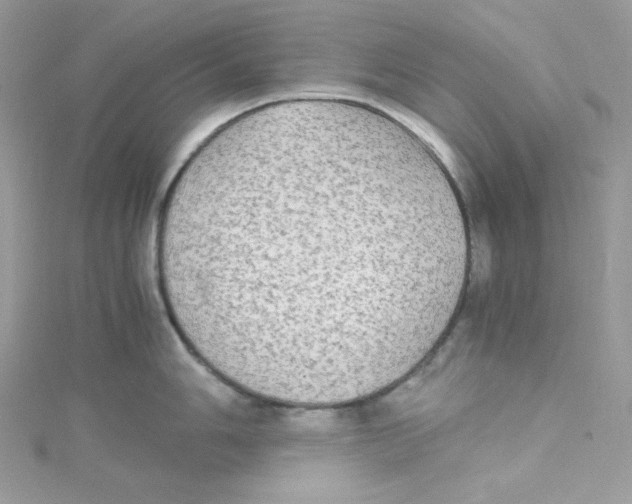 X0000114661006200911171107