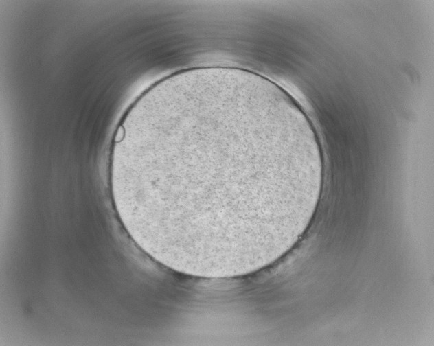 X0000114661008200911171107