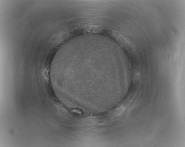 X0000114661010200911171106