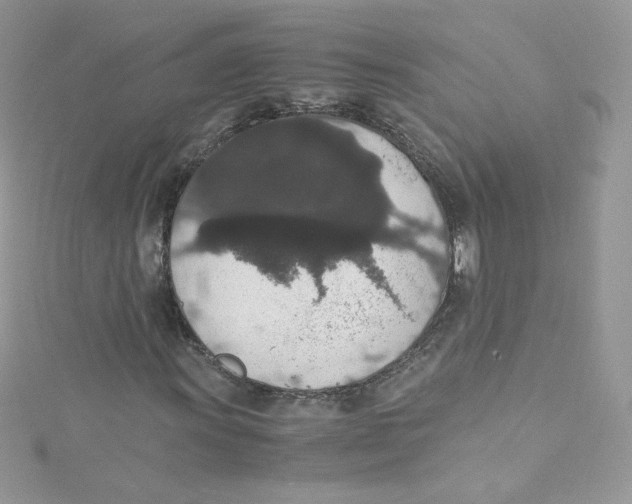 X0000114661011200911171106