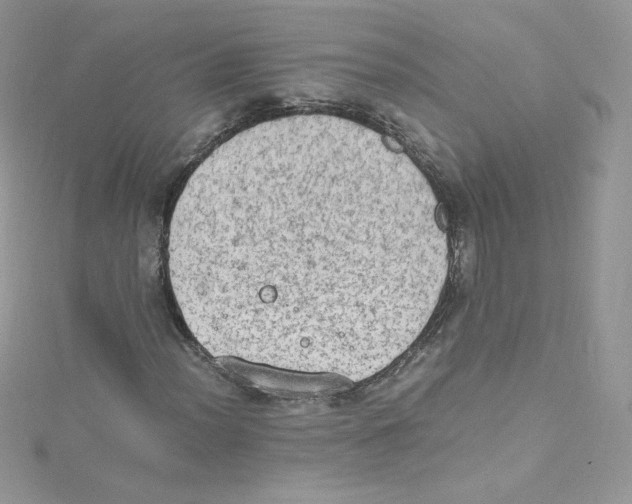 X0000114661012200911171106