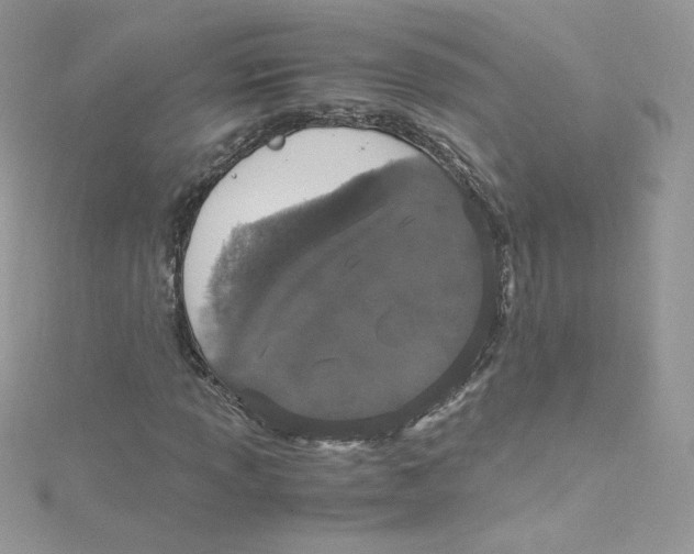 X0000114661013200911171106