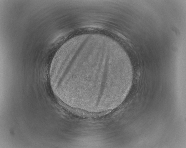 X0000114661014200911171106