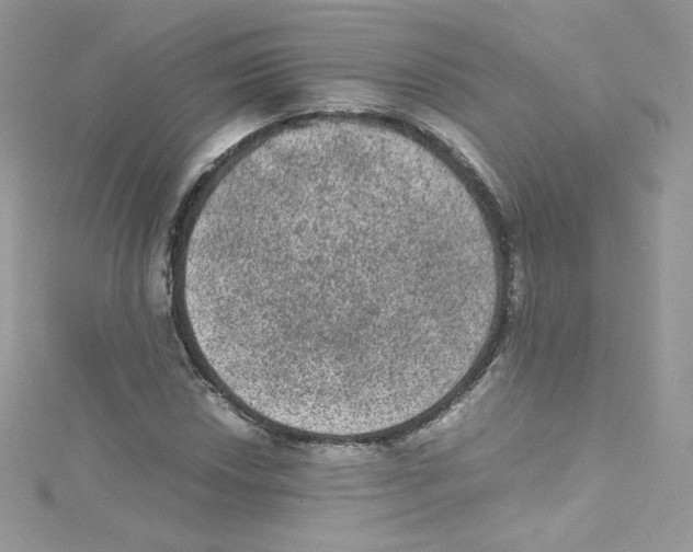 X0000114661018200911171106