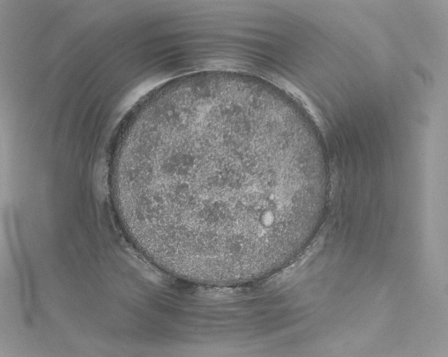 X0000114661019200911171106