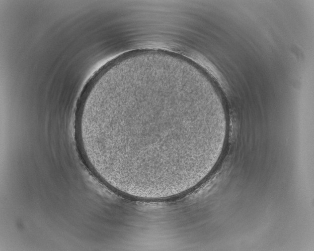 X0000114661020200911171106