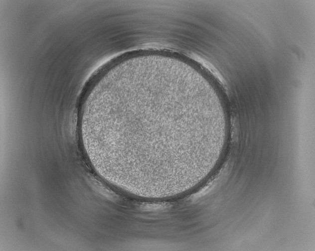 X0000114661021200911171106