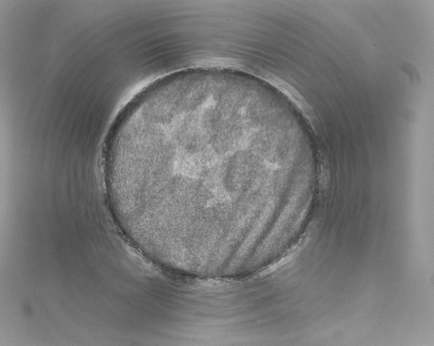 X0000114661022200911171106