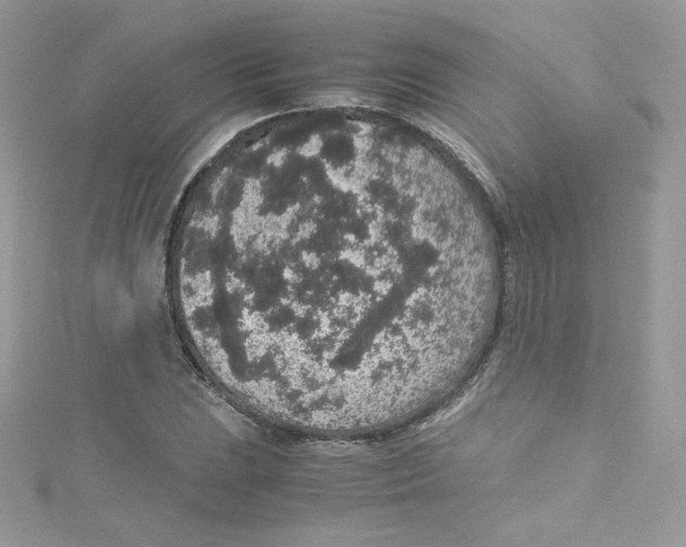 X0000114661023200911171106