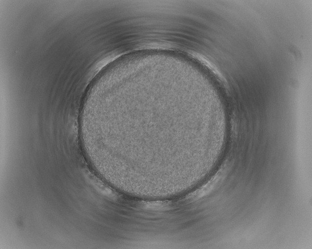 X0000114661025200911171106