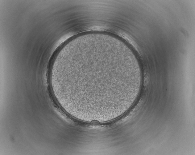 X0000114661026200911171106