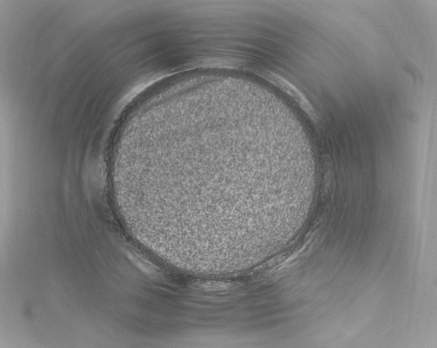 X0000114661027200911171106