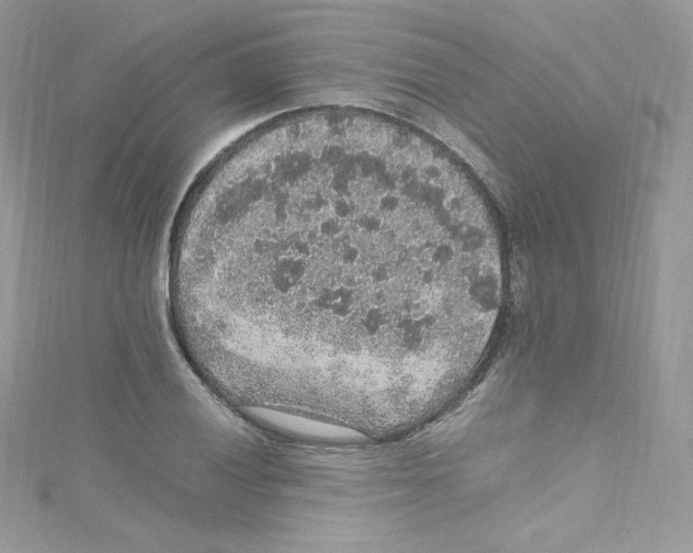 X0000114661028200911171106