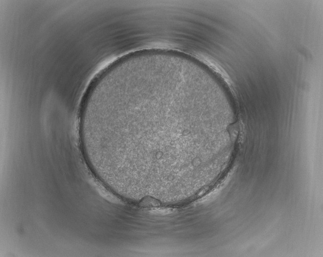 X0000114661029200911171106