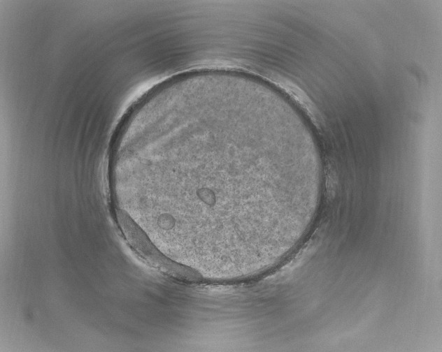 X0000114661030200911171106