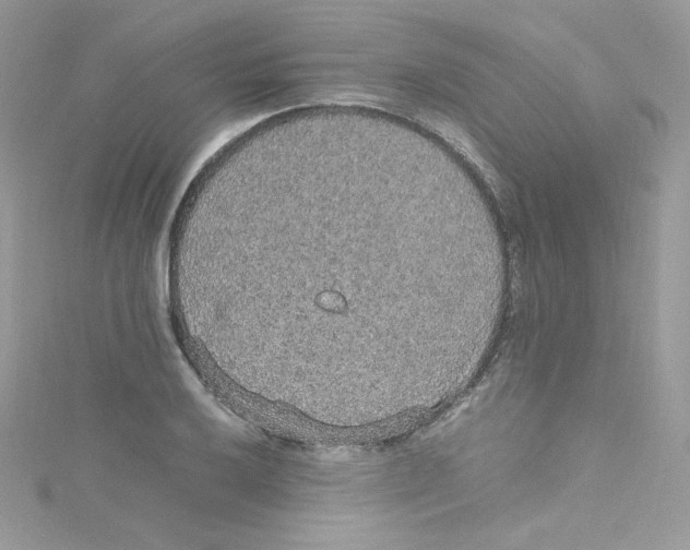 X0000114661032200911171106