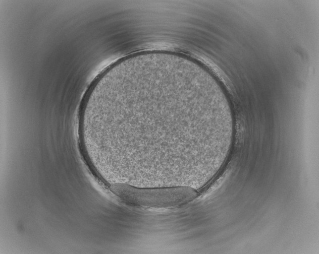 X0000114661034200911171106