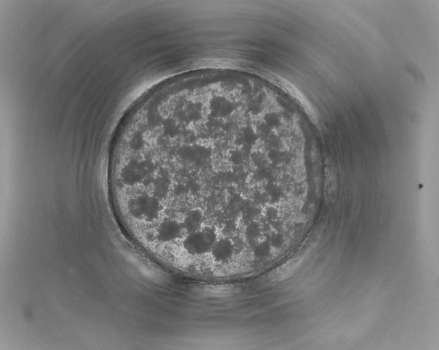 X0000114661035200911171106