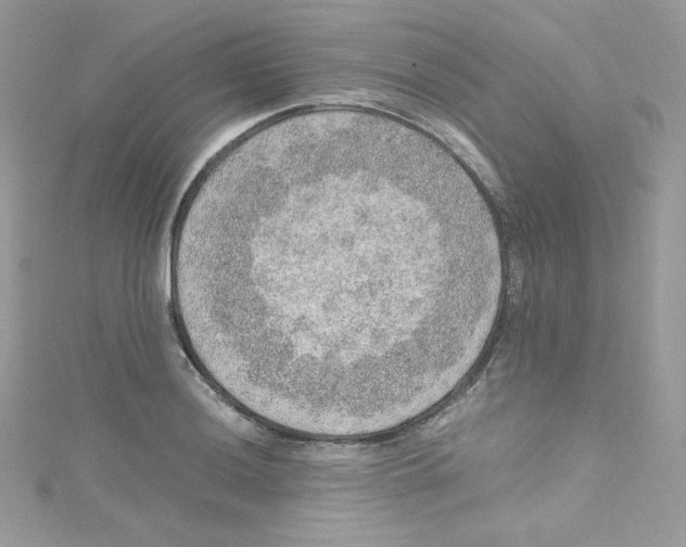 X0000114661036200911171106