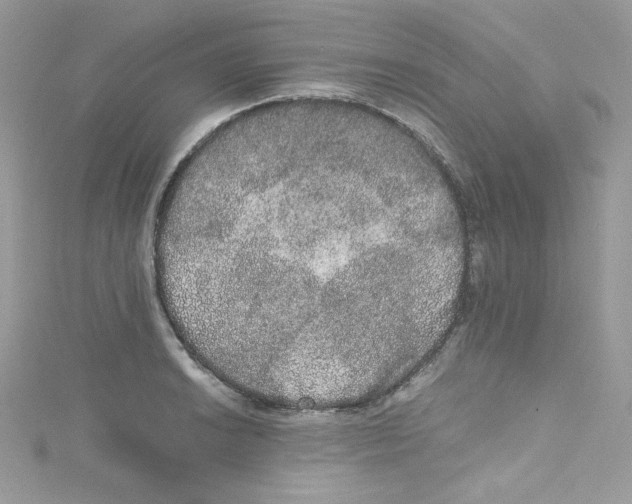 X0000114661038200911171106