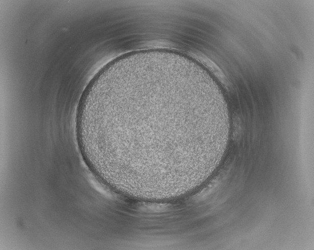 X0000114661039200911171106