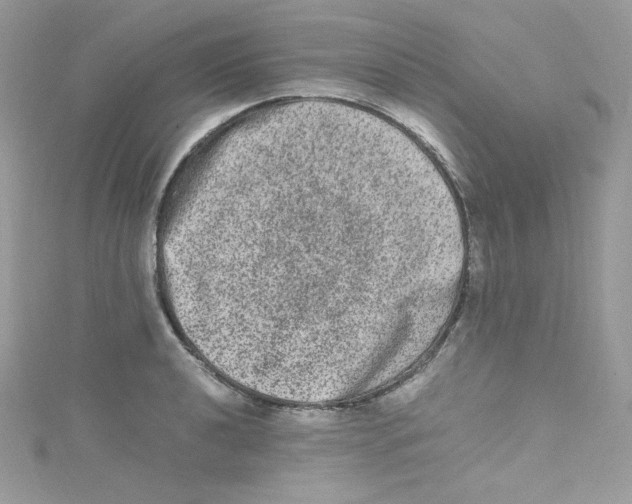 X0000114661040200911171106