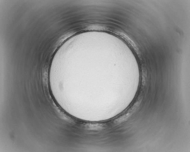 X0000114661041200911171106